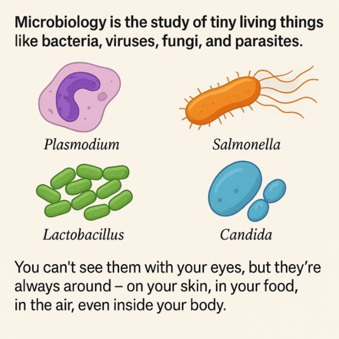 Microbiology explained 